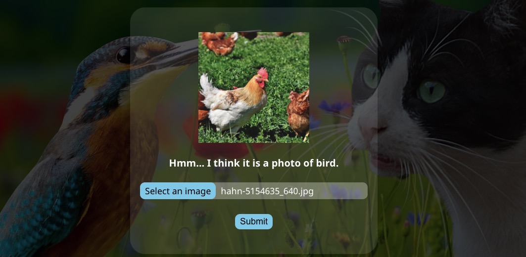Screenshot of CatOrBird project website